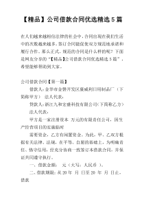 【精品】公司借款合同优选精选5篇