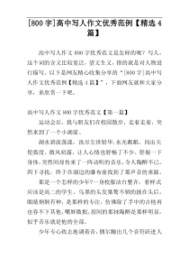 [800字]高中写人作文优秀范例【精选4篇】
