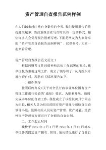资产管理自查报告范例样例
