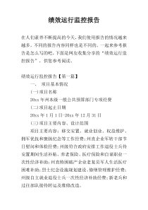 绩效运行监控报告