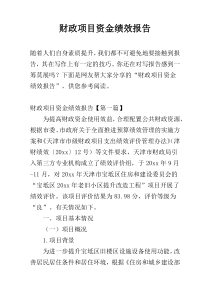 财政项目资金绩效报告
