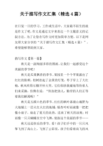 关于描写作文汇集（精选4篇）