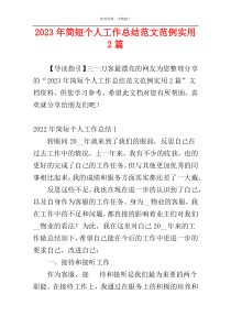 2023年简短个人工作总结范文范例实用2篇