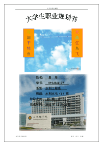 大学生职业规划书1