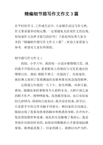 精编细节描写作文作文3篇