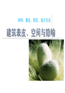 建筑表皮、空间与隐喻