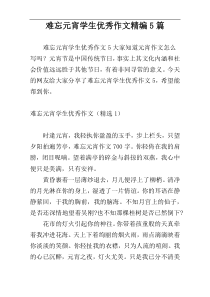 难忘元宵学生优秀作文精编5篇