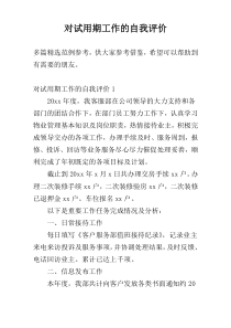 对试用期工作的自我评价