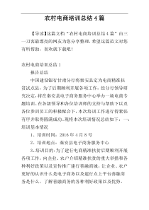 农村电商培训总结4篇