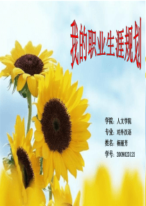 小笨点的对外汉语职业生涯规划