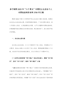 班子副职2023年“六个带头”专题民主生活会个人对照检查剖析材料3760字文稿