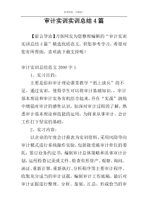 审计实训实训总结4篇