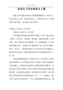 实训生工作总结范文4篇