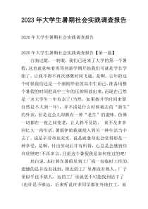 2023年大学生暑期社会实践调查报告