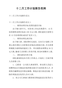 十二月工作计划报告范例