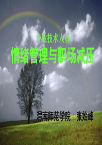 情绪管理与职场减压