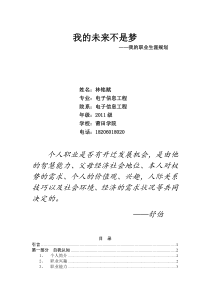 我的职业生涯规划(word)