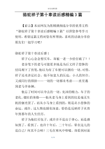 骆驼祥子第十章读后感精编3篇