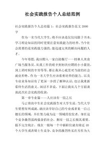 社会实践报告个人总结范例