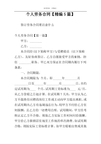 个人劳务合同【精编5篇】