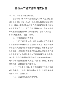 自治县节能工作的自查报告