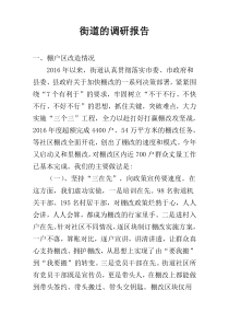 街道的调研报告