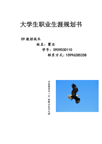 机电系职业规划