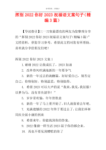 挥别2022你好2023祝福语文案句子（精编3篇）