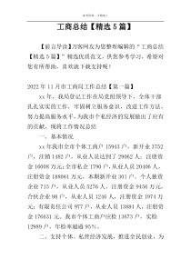 工商总结【精选5篇】
