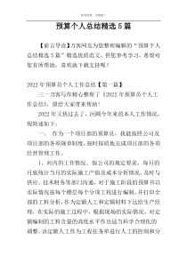 预算个人总结精选5篇