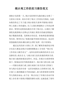 统计局工作的实习报告范文