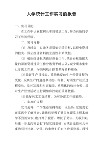 大学统计工作实习的报告