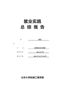 液压专业发展与职业规划总结报告