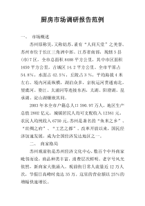 厨房市场调研报告范例