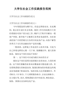 大学生社会工作实践报告范例