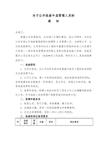 内部选拔中层招聘方案