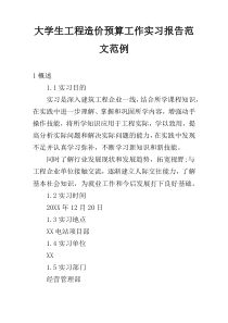 大学生工程造价预算工作实习报告范文范例