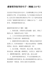 感谢领导指导的句子（精编210句）