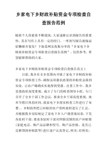 乡家电下乡财政补贴资金专项检查自查报告范例