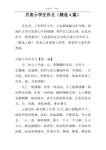 月夜小学生作文（精选4篇）