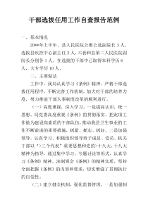 干部选拔任用工作自查报告范例