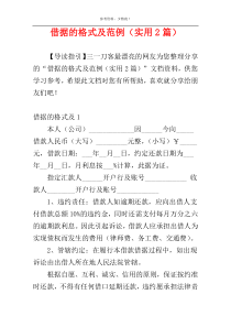 借据的格式及范例（实用2篇）