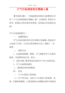 大气污染调查报告精编4篇