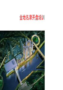 金地名津房地产项目开盘方案82页