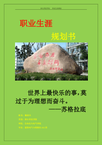 职业生涯规划书—魏相兴
