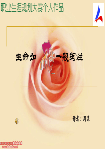 职业生涯规划大赛作品