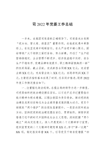 司2022年党委工作总结