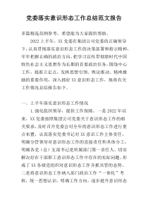 党委落实意识形态工作总结范文报告