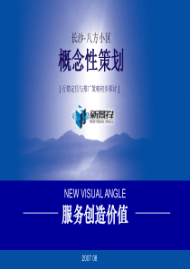 长沙八方小区地产项目行销定位与推广策略