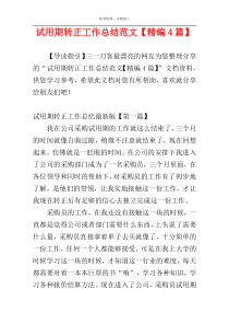 试用期转正工作总结范文【精编4篇】
